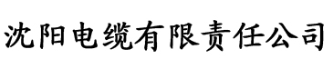 欧美理论片在线观看2021年电缆厂logo